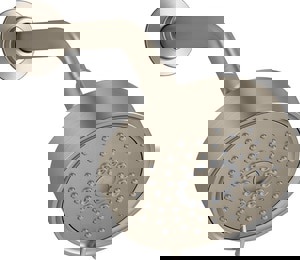 Multi Function Showerhead in Vibrant Brushed Bronze